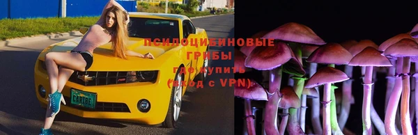 прущая мука Майский