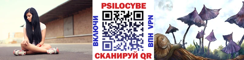 MEGA зеркало  Кызыл  Псилоцибиновые грибы прущие грибы 