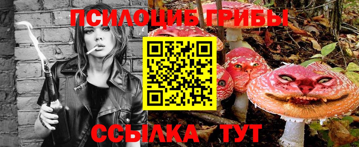 Псилоцибиновые грибы Psilocybine cubensis  Вход с VPN  Галлюциногенные грибы Psilocybe  Кызыл 