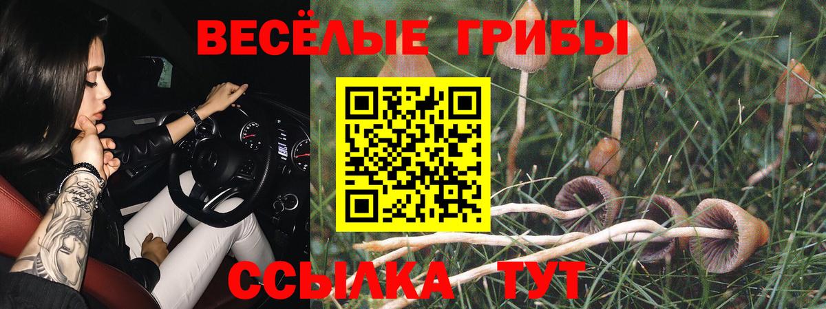 Галлюциногенные грибы GOLDEN TEACHER Кызыл