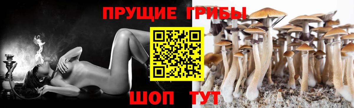 Галлюциногенные грибы Psilocybine cubensis  Кызыл  где можно купить наркотик  Псилоцибиновые грибы Magic Shrooms 